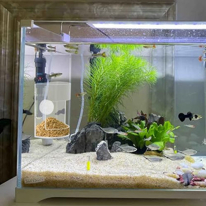 New Fish Tank Feed Tray with Suction Cup, Tank Divider Supplies, Feeding Tube Supplies Breeder Box for Aquarium, Round Aquariums & Fish Bowls Accessories - color: 1.Transparent