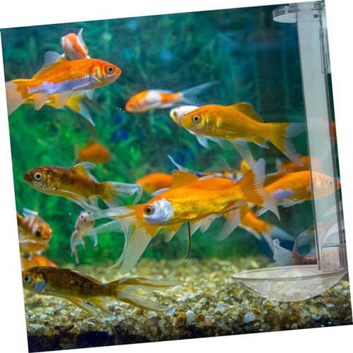 Happyyami 1set Acrylic Feeder for Fish Tank Wall-Mounted Shrimp Feeding Supplies Sinking Food Dispenser for Aquariums Easy to Assemble Tube Brush and Floating