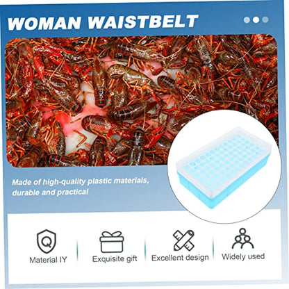 BESPORTBLE Brine Shrimp Incubator Storage Box for Artemia Hatching Collection Container for Shrimp and Fish Fry Breeding Safe and Practical Aquatic Hatchery Tool - size: 18X10X5cm
