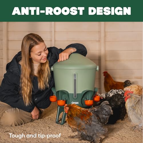 Omlet Insulated Chicken Waterer, 3 Gallon | Stay-Clean Automatic Water Dispenser for Chickens | BPA-Free | Anti-Roost Domed Lid | Includes 5 Cups & Nipples | Sage Green - color: Sage Green, size: 3 Gallon