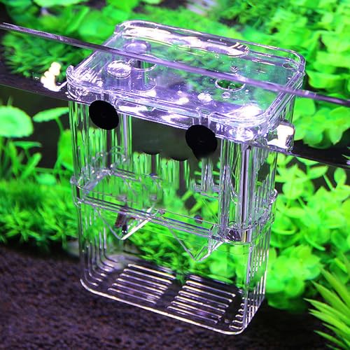 Breeder Box for Fish Tank, Transparent Floating Acclimation Hatching Incubator Box with Suction Cups, for Shrimp Guppy Platy Nursery, Hotel Lobby pet Store Cafe Aquarium Decor