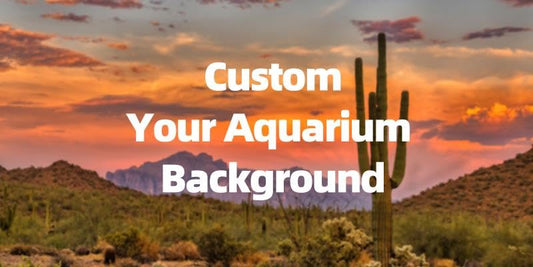 Custom Aquarium Background Photo Backdrop Personalized Tank Backdrop Upload Picture Terrarium Reptile Habitat Hideout Underwater Fish Tank Accessories 24x12 inch - size: 24x12IN