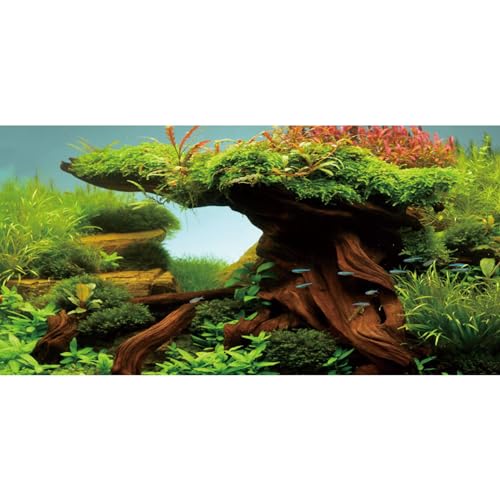 AWERT 30x12 inches Wood Fish Tank Background Seaweed Aquarium Background River Bed & Lake Aquarium Background Vinyl Background