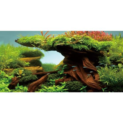 AWERT 30x12 inches Wood Fish Tank Background Seaweed Aquarium Background River Bed & Lake Aquarium Background Vinyl Background