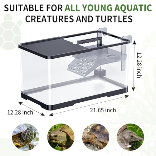 (Tank + Light +Pump + Filter + Filter Balls) Turtle Tank Kit, Turtle Tank Starter Kit,Bottom Drainage, Multi-Function Areas for Turtles, Crabs,Fishes, Amphibians,Reptiles. (21.65 x 12.28 x12.28 Inch)