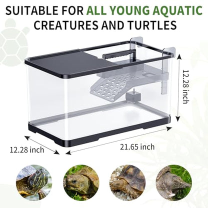 (Tank + Light +Pump + Filter + Filter Balls) Turtle Tank Kit, Turtle Tank Starter Kit,Bottom Drainage, Multi-Function Areas for Turtles, Crabs,Fishes, Amphibians,Reptiles. (21.65 x 12.28 x12.28 Inch)