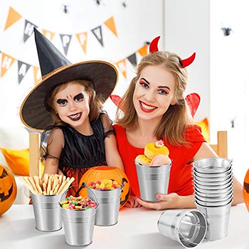 Toyvian Mini Metal Buckets with Handles, 4inch 12pcs Silver Tinplate Flower Pots for Classroom Small Treats Goodie Gift Bags Alternative for Kids Holiday Sandbox Toys