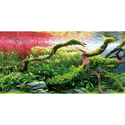 AWERT 36x20 inches Branches Fish Tank Background Stone Seaweed Aquarium Background River Bed & Lake Aquarium Background Vinyl Background