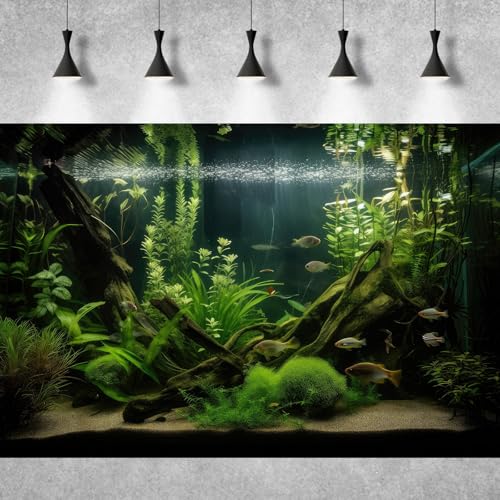 Underwater Aquarium Background Lush Green Diverse Aquatic Plants with Sunbeams Fish Tank Background Underwater Stone with Moss Tropical Fish Rooted Species Terrarium Background Vinyl 30x12in - color: Dark Green, size: 30(W)x12(H)in