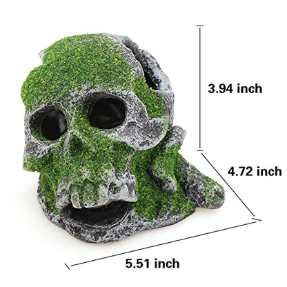 AQUA KT Aquarium Landscape Head Skeleton Skull Rock Fish Hiding Place Cichlid Cave for Gold Betta Fish Tank Decoration Freshwater or Marine Aquariums