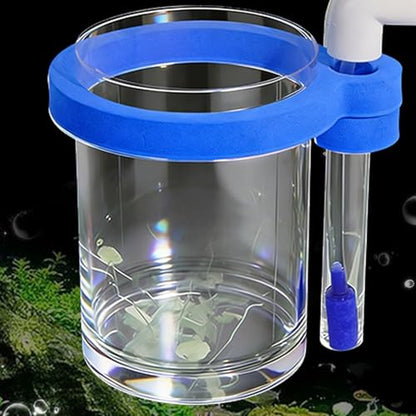 Protective Acrylic Incubator Box Safe Fry Rearing Container Suitable for Guppy & Fish Fry Featuring Sponges Cushioning Suspended Fish Hatchery