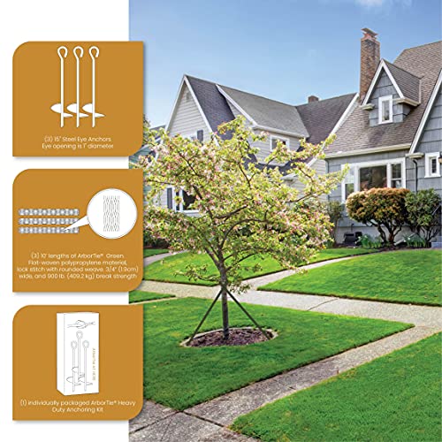 DeepRoot ArborTie Heavy-Duty Ground Anchoring Kit for Tree Support, Includes Three 10’ ArborTie Green and Three 15” Steel Eye Earth Anchors, Versatile Tree Stake Kit, Landscaping Stakes (AT HD15)