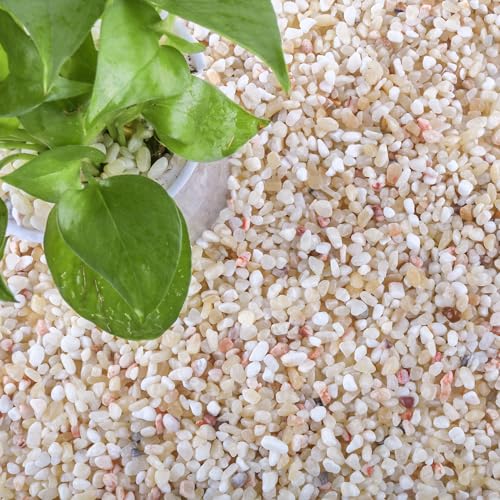 18lb Aquarium Gravel for Plants, 1/5Inch Outdoor Decorative River Rocks for Succulents and Cactus Landscaping, Garden Plant Natural Small Pea Gravel for Fish Tank Vases Terrarium - size: 18 LB