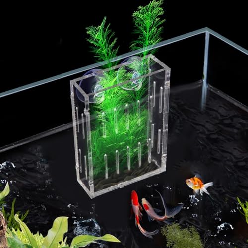 La La Pet Acrylic Mini Suction Cup for Aquatic Plants Transparent Water Plant Cup Pot Holder for Aquarium Fish Tank Decor Small - size: Small