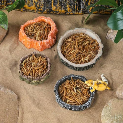IBWell 2pcs Reptile Water Bowl with Feeding Tweezers - Feeding Dish for Lizard, Snake, Tortoise & Small Animals - Grey Rock