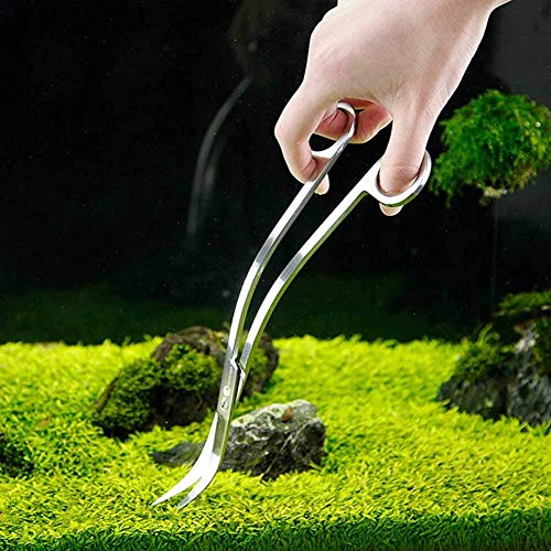 Aquarium Scissors, Stainless Steel Mirror Wave Scissors, Professional Aquarium Plant Scissors, Ambidextrous, Silver