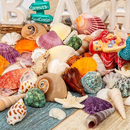 Sea Shell Mixed Ocean Shells Set, 15 Kinds 1.2"-2.7" Various Sizes Natural Seashell & Starfish for Beach Themed Decor, DIY Crafts, Vase Fillers, Fish Tank, Home, Wedding and Party Decoration