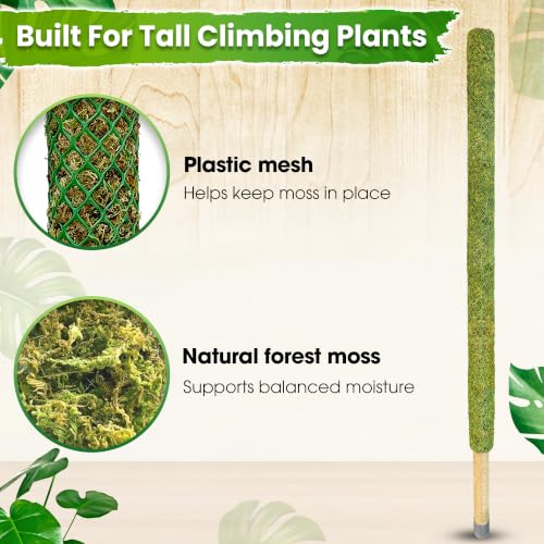 59’’ Large Green Mesh Moss Pole Monstera Plant Support, Tall Plant Stakes, Moss Pole for Plants Monstera, Garden Pole, Moisture Stick for Plants (1pc., 59''), Natural