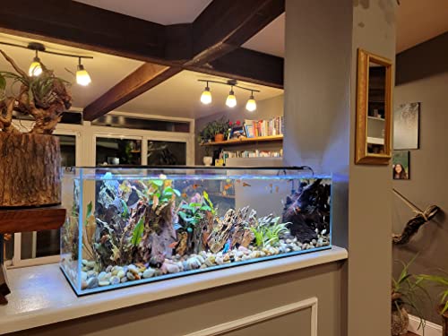 Lifegard Aquatics Bookshelf Aquarium – 11 Gallon Clear Glass Fish Tank with 5mm Thick Glass – for Freshwater/Marine, Leak-Proof, Home/Office Decor