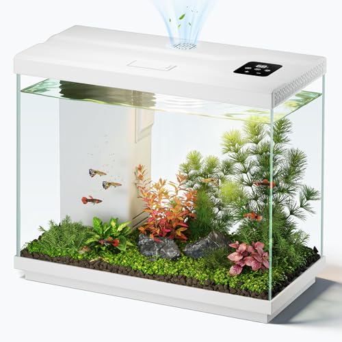 2.2 Gallon Fish Tank with 4-in-1 Filter Pump, Quiet Betta Aquarium with LED Light & Temperature Display, Small Aquarium for Home Office with Surface Skimmer, Beginner Friendly - color: White