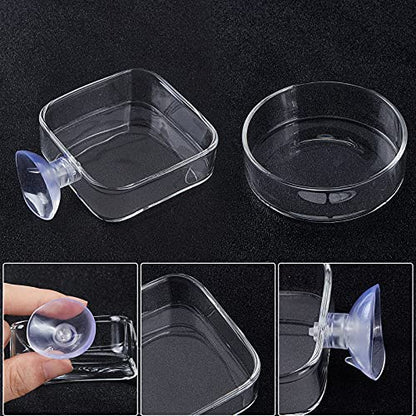 SUPERFINDINGS 4Pcs 2 Styles Transparent Glass Aquarium Shrimp Food Feeder Dish Fish Tank Feeding Bowls Dishes Flat Round Square Clear Feeding Bowl
