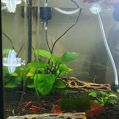 200MM Aquarium Shrimp Feeding Tube and Dish Tube Glass Fish Feeder Tube with Glass Bowl and Suction Cups for Fish Tank Aquarium Shrimp Fish Dish