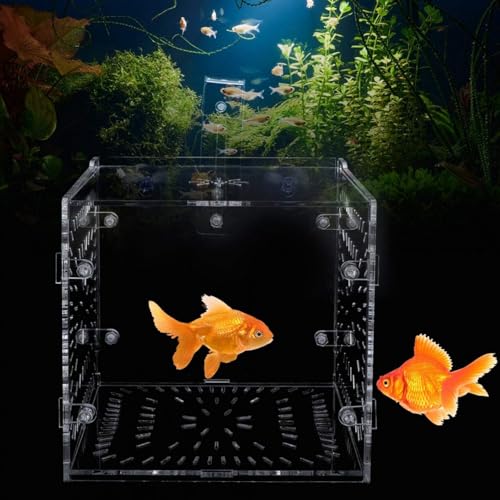 Fish Isolation Breeding Box Acrylic Incubator Floating Aquarium Hatchery Breeding and Parenting Box for Fish Aquarium(15CM*15CM*15CM)