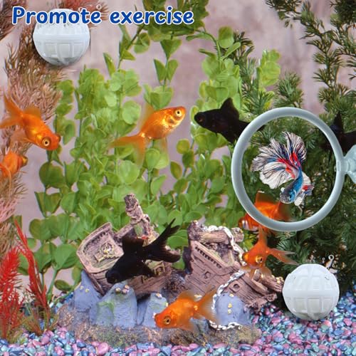 Fish Aquariums Accessories, 1 with Floating Ball & 2 Exercise Training Toys, Feeding Betta Set for Tank, Enrichment