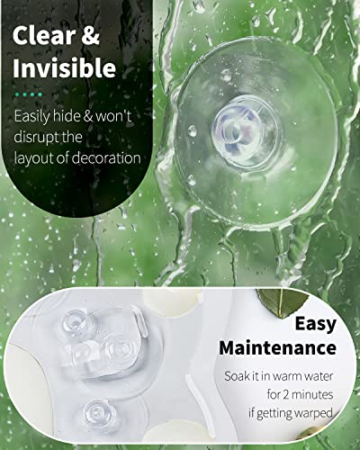 Pawfly 50 Pack Suction Cups, Small Rubber Suction Cups for Home Kitchen Bathroom Organization Christmas Decoration Window (1.8 Inch) - style: 1.8 in 50pcs