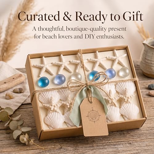 24 Pcs Starfish and Scallop Shells with Sea Glass, 3"-4" Large Natural Sea Shells for Crafts and Decorating, Seashell Decor for Beach Party, Wedding, Vase Filler, Christmas, Coastal Home DIY