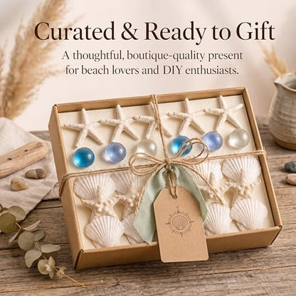 24 Pcs Starfish and Scallop Shells with Sea Glass, 3"-4" Large Natural Sea Shells for Crafts and Decorating, Seashell Decor for Beach Party, Wedding, Vase Filler, Christmas, Coastal Home DIY