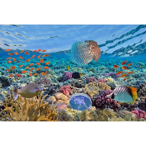 Under The Sea Aquarium Background Colorful Coral Reefs Marine Life Fish Tank Background Deep Blue Sea Tropical Fish Terrarium Background Seabed Aquascape Theme Aquarium Backdrop Vinyl 24x12in - color: Tropical Blue, size: 24(W)x12(H)in