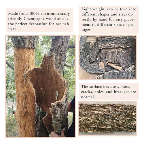 2PCS Cork Terrarium Background 15.7x11.8in Natural Cork Large Bark Backdrop Reptile Climbing Mat Habitat Decor for Spider Lizard Chamelon Turtle Beared Dragon - size: 2PCS-15.7x11.8in