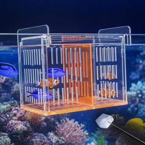 Fish Breeder Box for Aquarium, Acrylic Hatchery Incubator with Long Handle Net - Breeding & Isolation Box for Baby Fish, Shrimp, Betta Guppy, Tank Divider (Orange, 9x5.3x6.7 in) - color: Orange, size: 9x5.3x6.7in