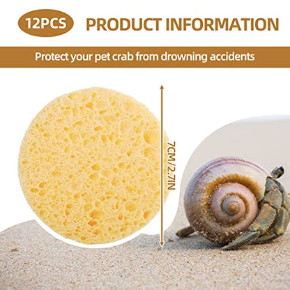 12 Pieces Hermit Crab Sea Sponges - Unbleached Supplies for Maintaining Tank Humidity - Pet Accessories Providing Nutrients