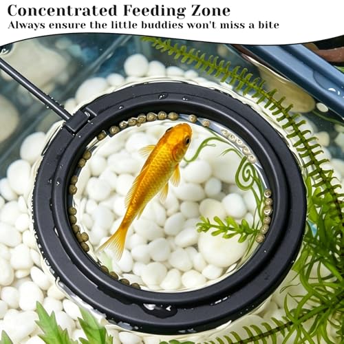 4 Pcs Fish Feeding Ring, Round & Square Floating Aquarium Feeding Ring with Suction Cup, Easy to Use for Betta, Goldfish, Guppy, Turtle & Small Fish (Black)