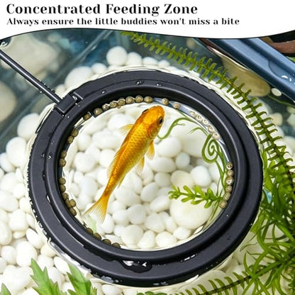 4 Pcs Fish Feeding Ring, Round & Square Floating Aquarium Feeding Ring with Suction Cup, Easy to Use for Betta, Goldfish, Guppy, Turtle & Small Fish (Black)