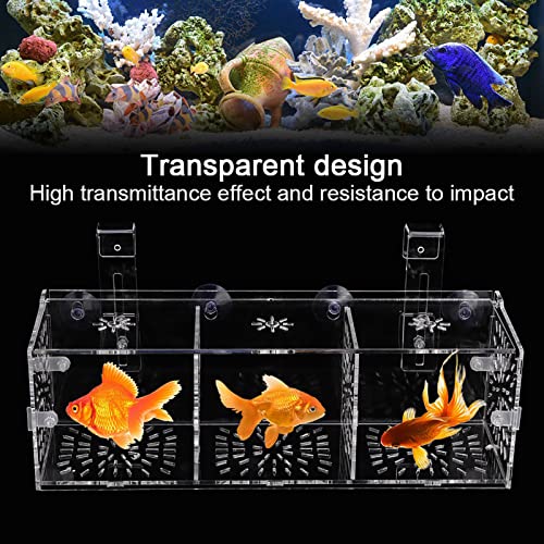 Transparent Acrylic Fish Tank Breeding Box, Aquarium Isolation Incubator, Separation Breeder Box for Fish, 30 cm x 10 cm x 10 cm