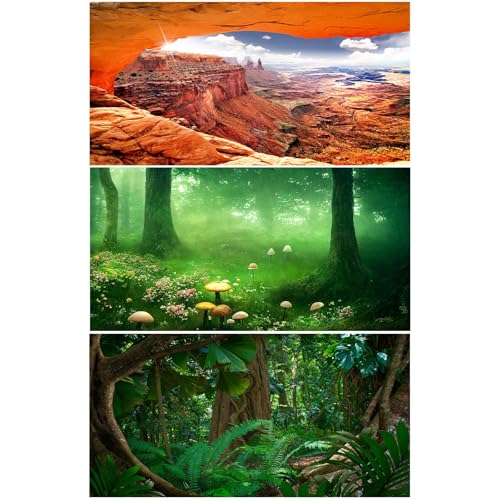 3 Pack Forest Reptile Habitat Background Tropical Rainforest Aquarium Background Foggy Forest Sun Rays Mushrooms Terrarium Background Rock Mountain Clear Blue Sky Fish Tank Background 36x18in - size: 36(W)x18(H)inches/ 90(W)*45cm(H)