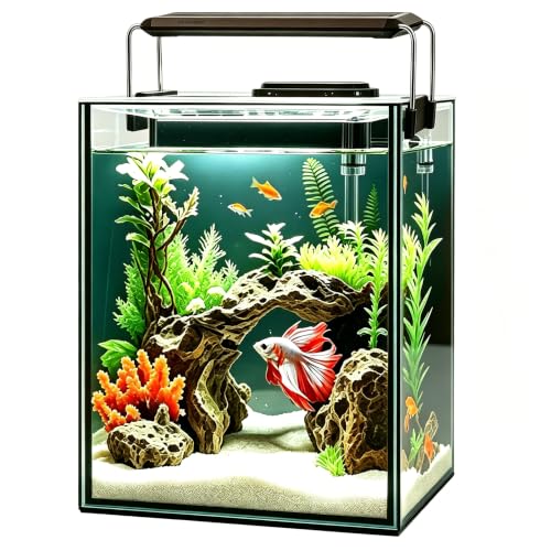 Glass Aquarium Starter Kits 1.5 Gallon Small Fish Tank, Betta Fish Tank for Home Office Deco, with LED Light, Power Filter, 4mm Glass, Black