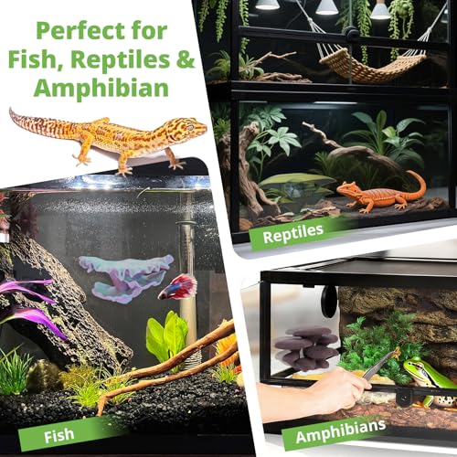 Mushroom Decor for Reptile Tank, Fish Tank, Pet-Safe Bearded Dragon Tank Accessories, Realistic Terrarium Plants for Leopard Geckos, Crested Geckos, Tree Frogs, Snakes (Lagoon, Shelf Cap)