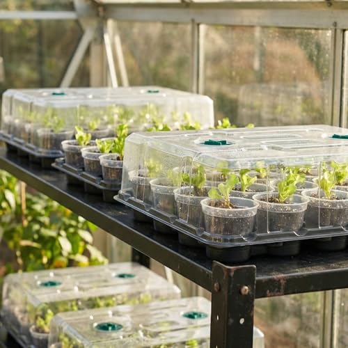 3 Inch Seed Starting Trays with Humidity Domes for Plants, 4 Pack 20-Cell Seedling Starter Trays, Plant Starter Germination Trays for Pots Seedlings for Indoor,3" Opening Compatible Pots - size: 3 Inch, style: 4 Pack Seed Starter Tray+Humidity Dome