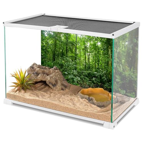 AWERT 36x18 inches Terrarium Background Tropical Aquarium Background Green Huge Tree Rainforest Reptile Habitat Background - size: 36x18in/90x45cm