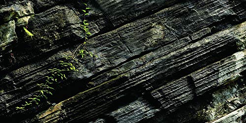 Moss Rock Aquarium Background Poster HD Fish Tank Decorations Landscape (72" x 25"/ 183 x 64cm) - size: 72" x 25"/ 183 x 64cm
