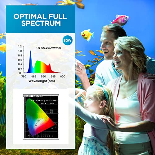 Lominie LED Aquarium Light, Remote Control 80W Planted Fish Tank Light Asta120 Clamp Clip Lamp for Freshwater Refugium Algae Fish Tank with Gooseneck (F120 80W Freshwater)
