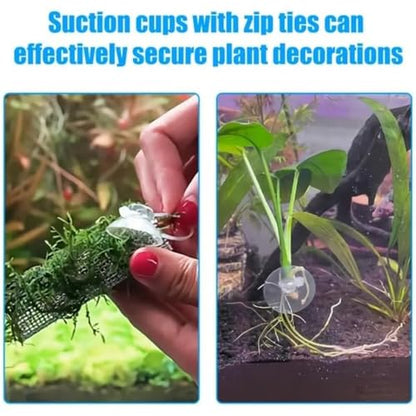 Plant Clips for Aquarium 100pcs Suction Cups with Zip Ties for Aquarium Fish Tank Decoration Moss Shrimp Nest