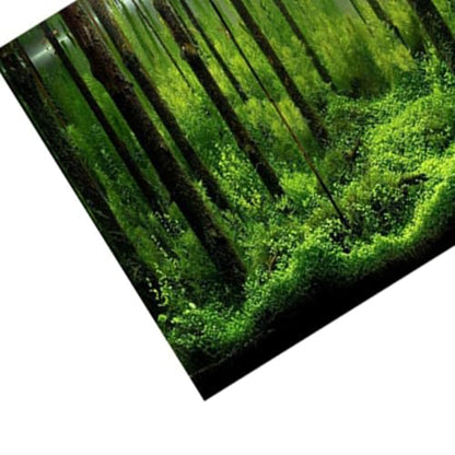 24In Self-Adhesive PVC Aquarium Background Easy Install Decor Paper Water Proof Fish Tank Backdrop with Vivid Underwater Forest Design