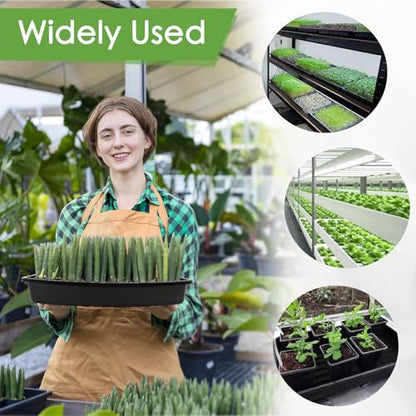 Microgreens Growing Trays Kit – 6 Pack Micro Green Grow Trays with 12 Hemp Fiber Grow Mats, 15 x 11 x 2.5 Inch Seed Starter Trays for Growing Microgreens, Indoor Gardening - size: 15in-6P with 12 Mats