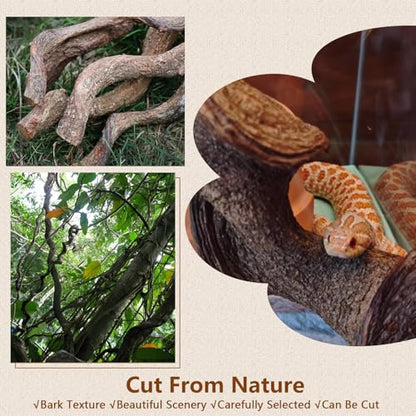 2Pcs Reptile Climbing Branches Decor,2.5-3.25" Think Snake Climbing Branch,Gecko Climb Wood,Lizard Bold Forest Branch,Tank Habitat Tree Trunk Decorations for Bearded Dragons,Chameleons,Frogs - size: 2PCS|XL:2.50-3.25"D,13"L