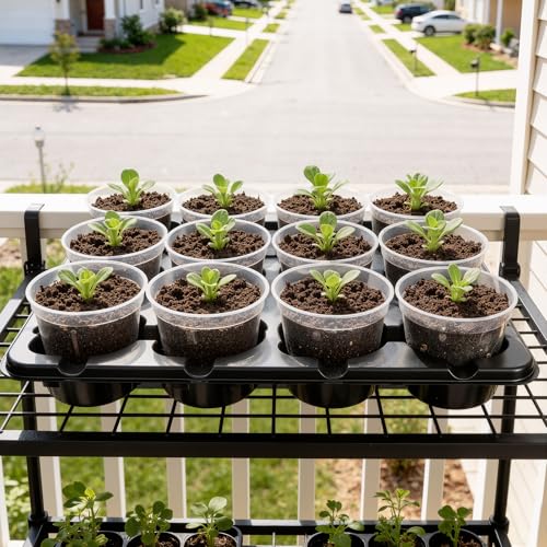 4 Inch Seed Starting Trays with Clear Nursery Pots, 2-Pack 12-Cell Seedling Starter Trays & 4" Nursery Pots 24 Pcs with Drainage, Plant Starter Germination Trays for Indoor Outdoor Growing - size: 4 Inch, style: 2 Pack Seed Starter Tray+Nursery Pots
